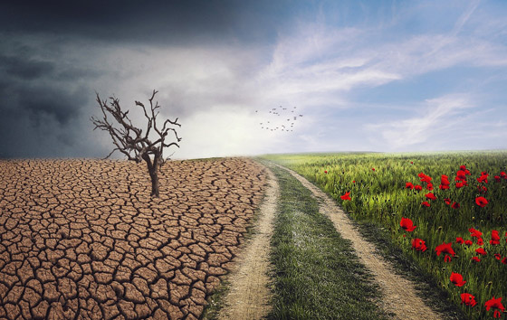 أين سنعيش بينما يحترق كوكبنا كوكب الأرض؟ صورة رقم 6