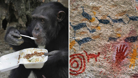 أغرب الأشياء بالعالم: أم بالغة من العُمر 5 سنوات ودجاجة تعيش دون رأس صورة رقم 9