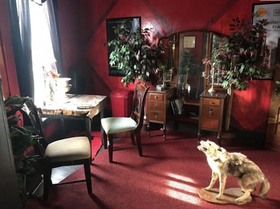 فندق مسكون حطم رقم غينيس للأرقام القياسية لأكبر لوح ويجا صورة رقم 2