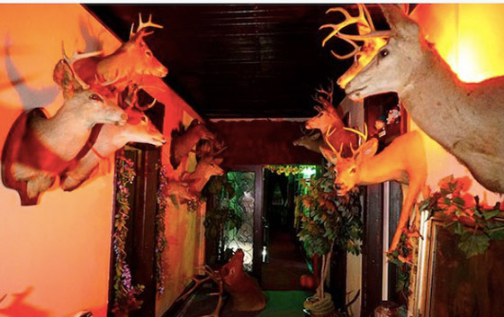 فندق مسكون حطم رقم غينيس للأرقام القياسية لأكبر لوح ويجا صورة رقم 5