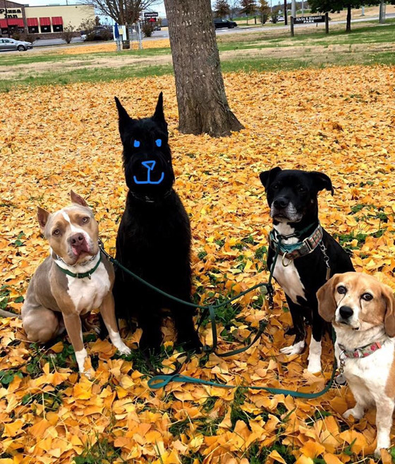 أشخاص تمكنوا من تجاوز جميع مشكلاتهم بطرق ذكية ومبدعة صورة رقم 4