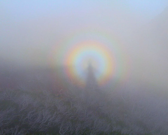 ليس قوس قزح.. ما سر بروز هذه الظاهرة الطبيعية بسماء الهند؟ صورة رقم 5
