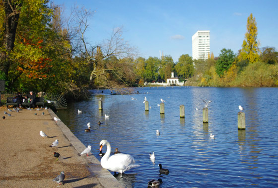 أغرب الوظائف في قصر الملكة إليزابيث صورة رقم 10 أغرب الوظائف في قصر الملكة إليزابيث صورة رقم 10
