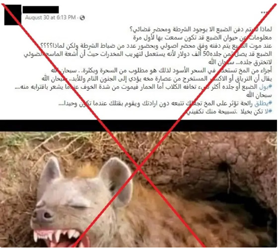 يهرب مخدرات ويقلب الدماغ.. قدرات الضباع تشغل التواصل صورة رقم 3