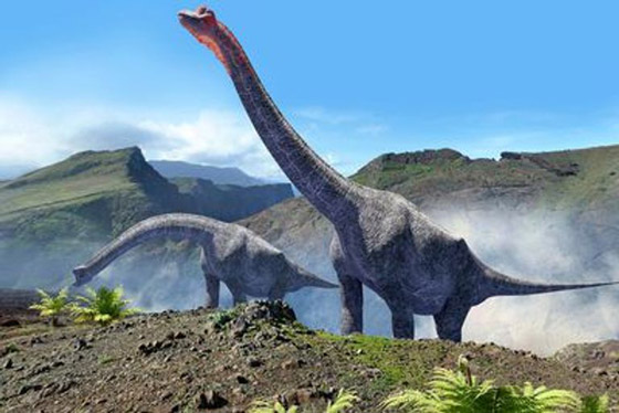 برتغالي يكتشف حفرية ديناصور في حديقة منزله (صور) صورة رقم 4