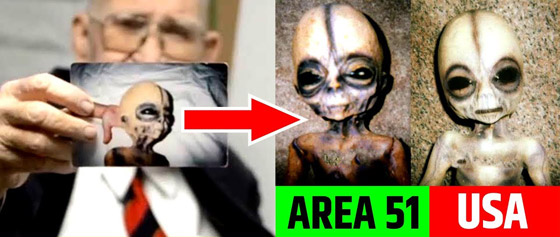 يشبهوننا كثيرا لكن أقصر.. عالم بـ