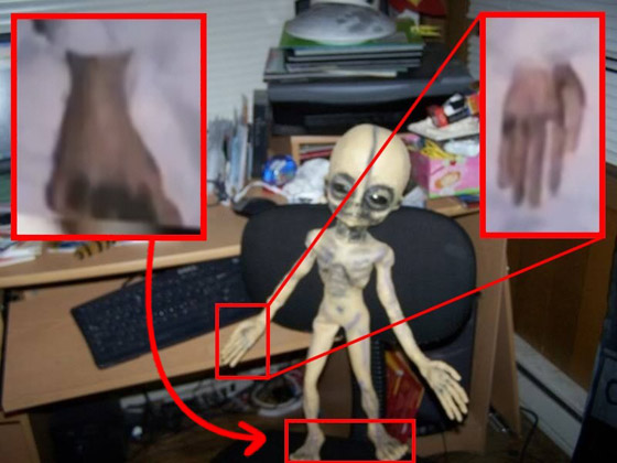 يشبهوننا كثيرا لكن أقصر.. عالم بـ