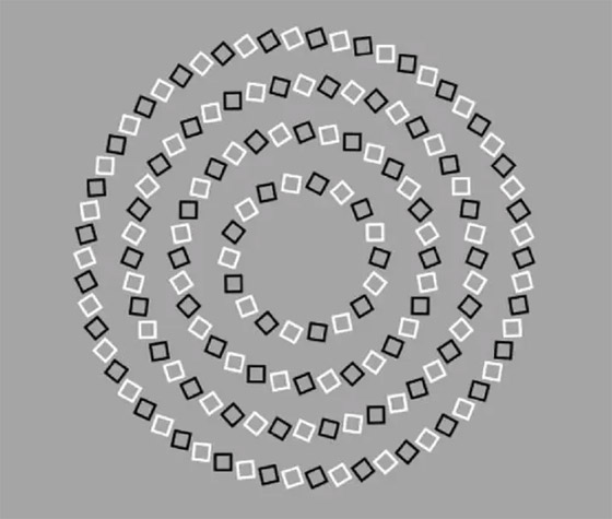 إذا أطلت النظر قد تصاب بصداع.. خمن عدد الدوائر في 12 ثانية صورة رقم 1