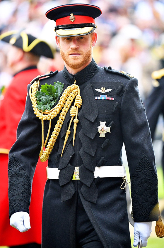 قلق جديد في القصر الملكي... ماذا يُحضّر الأمير هاري؟ صورة رقم 6