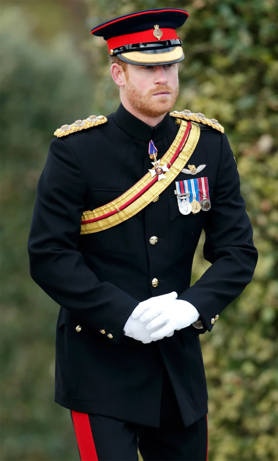 قلق جديد في القصر الملكي... ماذا يُحضّر الأمير هاري؟ صورة رقم 7