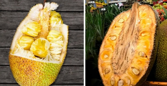 7 فواكه غريبة ونادرة لم تسمع عنها من قبل.. رقم 5 مفاجأة صورة رقم 3