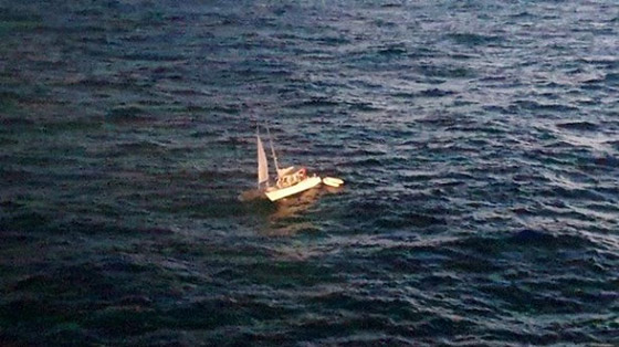 صور :عائلة تنجو من الغرق بأعجوبة بعد اصطدام قاربها بحوت صورة رقم 2 صور :عائلة تنجو من الغرق بأعجوبة بعد اصطدام قاربها بحوت صورة رقم 2