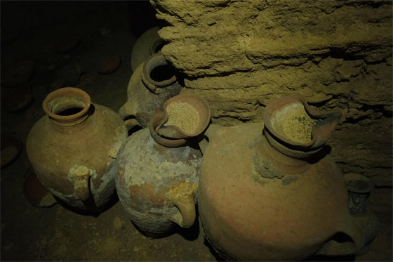 اكتشاف آثار فرعونية في إسرائيل: سرداب لدفن الموتى من زمن رمسيس الثاني صورة رقم 6 اكتشاف آثار فرعونية في إسرائيل: سرداب لدفن الموتى من زمن رمسيس الثاني صورة رقم 6