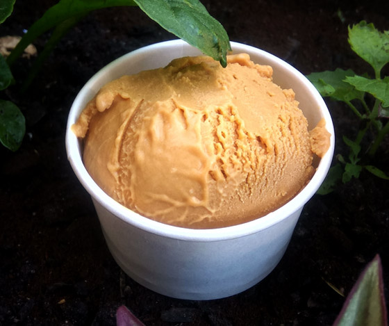 مثلجات مع الأسماك المجففة والفلفل الحار.. هذا ما يقدمه متجر بأفريقيا! صورة رقم 8