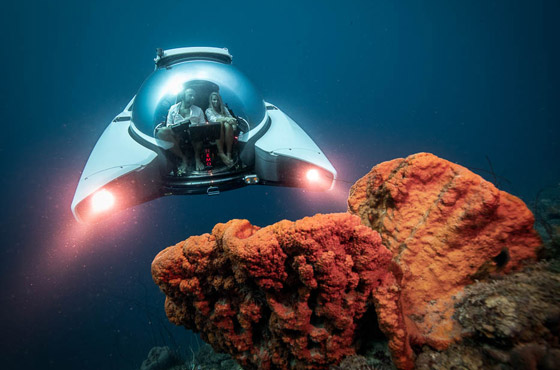 غواصة لفاحشي الثراء لاكتشاف أعماق البحار.. كيف تبدو الرحلة على متنها؟ صورة رقم 6