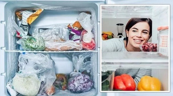 لهذا السبب يجب وضع أكياس ماء في الثلاجة صورة رقم 1