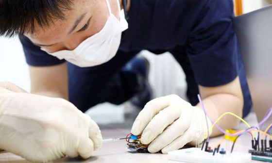 اليابان تستعين بالصراصير للبحث عن ناجين في الكوارث صورة رقم 1