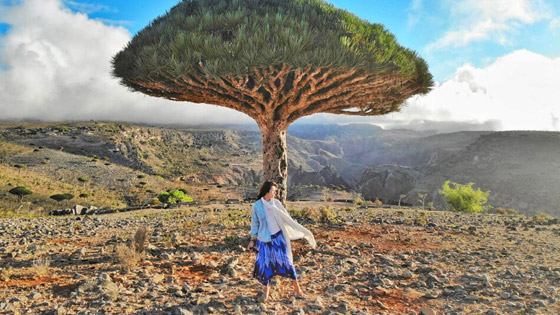 أماكن معزولة لمحبي الهدوء والاسترخاء (صور) صورة رقم 1