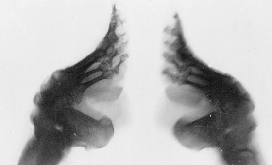 قرية الأقدام الصغيرة والسر وراء ذلك الاسم صورة رقم 3