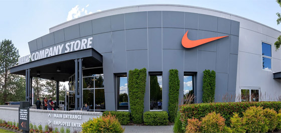 سيرة ذاتية مطبوعة على كعكة.. فكرة مبتكرة من أمريكية لنيل وظيفة! صورة رقم 4