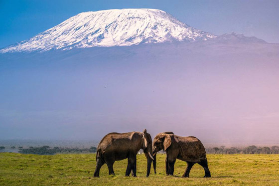 بالصور: تعرفوا إلى أفضل المدن السياحية الصديقة للبيئة في العالم صورة رقم 4