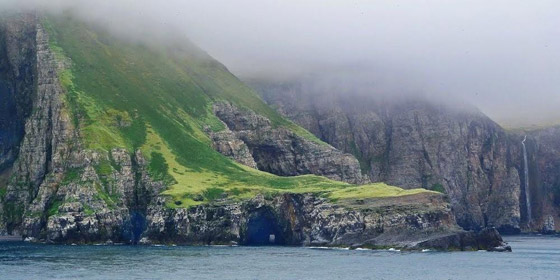 منها جزيرة الأفاعي.. جزر محظور على البشر دخولها صورة رقم 10