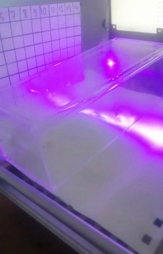 جهاز ليزري يعمل بالذكاء الاصطناعي مهمته قتل الصراصير صورة رقم 2