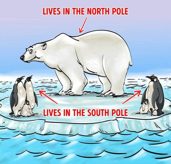 ركز جيدا.. حاول اكتشاف الخطأ بالصورة خلال 9 ثوان فقط! صورة رقم 3