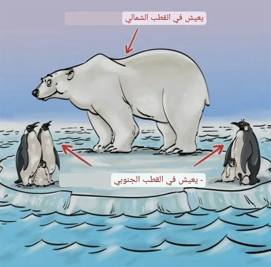 ركز جيدا.. حاول اكتشاف الخطأ بالصورة خلال 9 ثوان فقط! صورة رقم 2