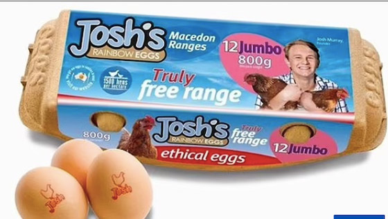 طفل يحصل على 5 ملايين دولار سنوياً بفضل فكرة عمل مذهلة صورة رقم 4