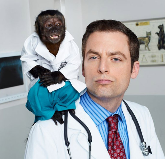 أنجلينا جولي القرود: تقدر ثروتها بـ 6 ملايين دولار صورة رقم 1