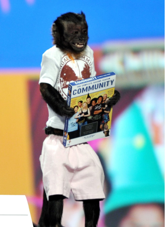 أنجلينا جولي القرود: تقدر ثروتها بـ 6 ملايين دولار صورة رقم 5