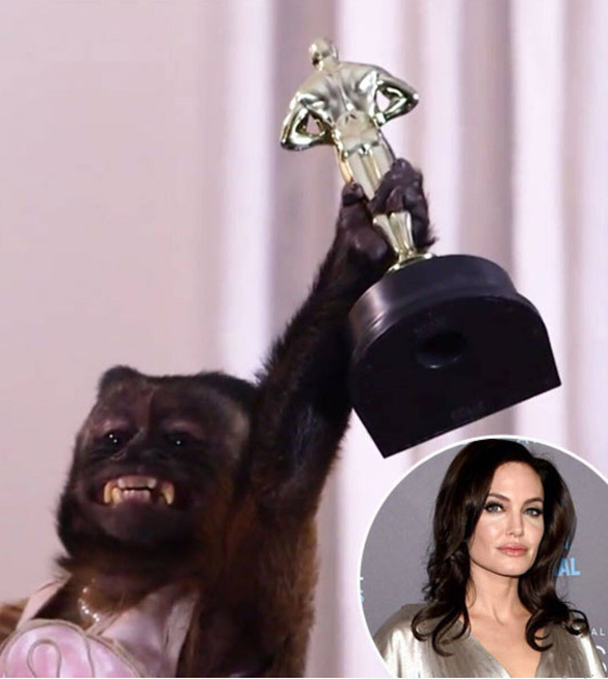 أنجلينا جولي القرود: تقدر ثروتها بـ 6 ملايين دولار صورة رقم 6