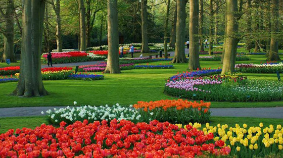 السياحة في أمستردام.. 5 مزارات أوروبية رائعة صورة رقم 3 السياحة في أمستردام.. 5 مزارات أوروبية رائعة صورة رقم 3