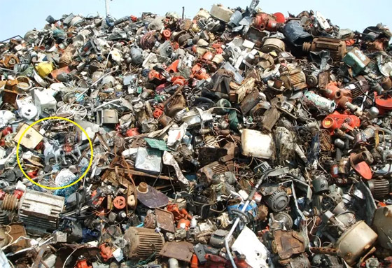 حدق بالصورة جيدا.. إذا رأيت القطة فأنت تتمتع بعيون نسر صورة رقم 2 حدق بالصورة جيدا.. إذا رأيت القطة فأنت تتمتع بعيون نسر صورة رقم 2