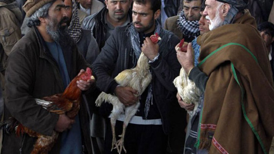 تعرف إلى أغرب الأسواق حول العالم صورة رقم 3