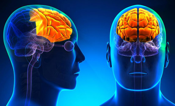 اضطرابات في الدماغ تجعل المصابين بها عباقرة.. متلازمة الموهوب النادرة صورة رقم 2