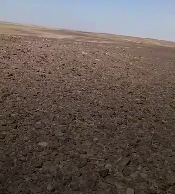 فيديو مؤلم: أردني يوثق آخر أنفاسه قبل موته بالصحراء صورة رقم 4 فيديو مؤلم: أردني يوثق آخر أنفاسه قبل موته بالصحراء صورة رقم 4