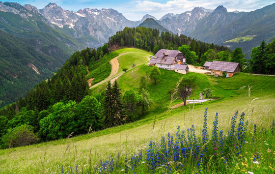 بالصور: إليكم أفضل الوجهات السياحية لقضاء شهر العسل في سلوفينيا صورة رقم 3