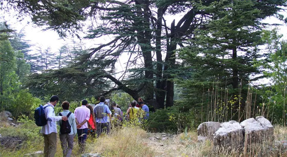 اختبر معلوماتك وخمن.. بأي دول عربية توجد هذه المعالم المدهشة؟ صورة رقم 5