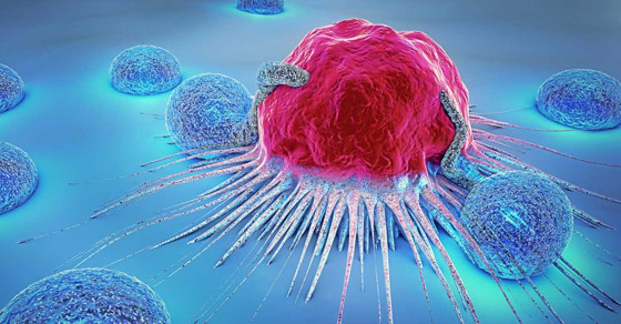 البروفسور التركي الذي طور أول لقاح ضد كورونا يبشر بآخر عن السرطان صورة رقم 4