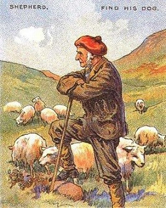 أين كلب الراعي؟ فقط العبقري يمكنه اكتشافه بـ21 ثانية! صورة رقم 1