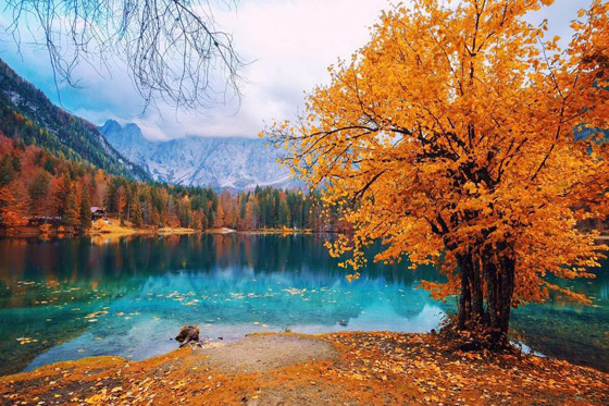 إليكم نصائح مهمة عند السفر في فصل الخريف صورة رقم 1