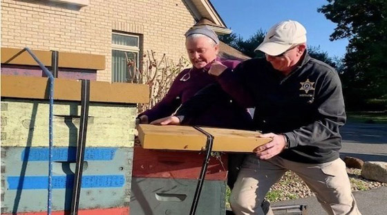 تستخدم النحل سلاحاً لمنع الشرطة من إخراجها من منزلها صورة رقم 1