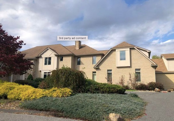 تستخدم النحل سلاحاً لمنع الشرطة من إخراجها من منزلها صورة رقم 3