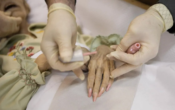 حزنا لفراقهم أو لإخفاء جرائمهم.. أشخاص عاشوا مع جثث في بيت واحد! صورة رقم 1 حزنا لفراقهم أو لإخفاء جرائمهم.. أشخاص عاشوا مع جثث في بيت واحد! صورة رقم 1