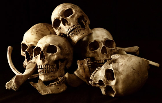 حزنا لفراقهم أو لإخفاء جرائمهم.. أشخاص عاشوا مع جثث في بيت واحد! صورة رقم 3 حزنا لفراقهم أو لإخفاء جرائمهم.. أشخاص عاشوا مع جثث في بيت واحد! صورة رقم 3