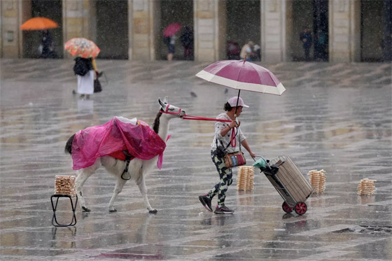 أبرز صور الأسبوع: إليكم أهم الأحداث المصورة من مختلف أنحاء العالم صورة رقم 8 أبرز صور الأسبوع: إليكم أهم الأحداث المصورة من مختلف أنحاء العالم صورة رقم 8