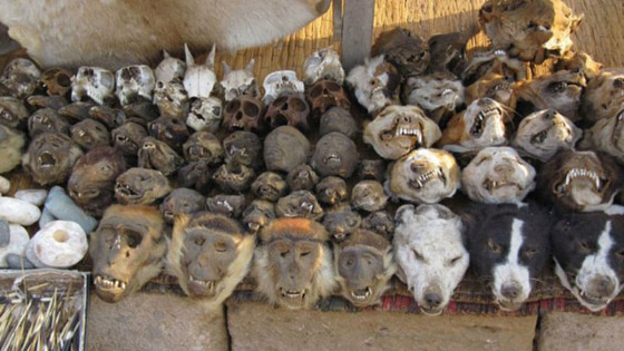 أسواق غير تقليدية حول العالم قد ترغب بزيارتها! صورة رقم 6 أسواق غير تقليدية حول العالم قد ترغب بزيارتها! صورة رقم 6