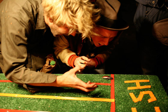 مصارعة الحشرات وكرة قدم الأفيال! أغرب سباق الحيوانات في العالم! صورة رقم 5